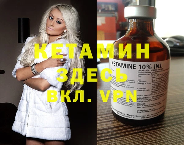 индика Вяземский