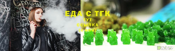 индика Вяземский