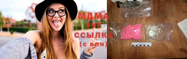 индика Вяземский