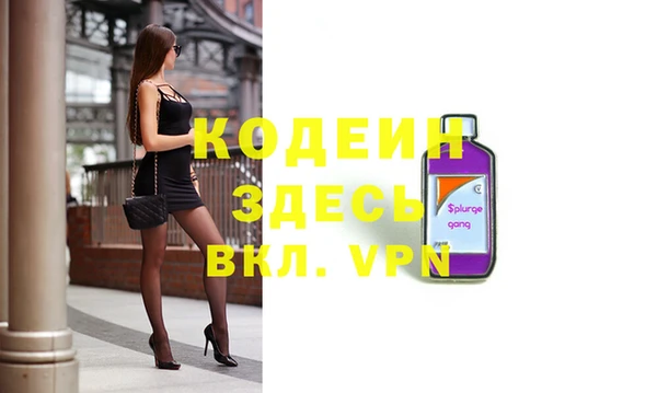 индика Вяземский