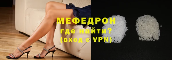 индика Вяземский