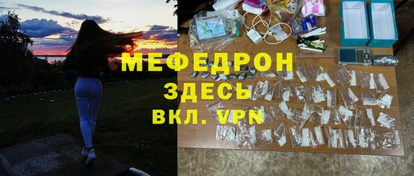 индика Вяземский