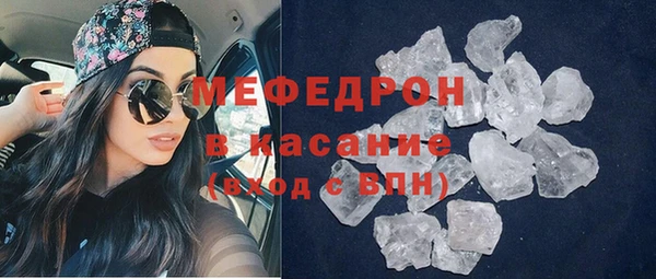 индика Вяземский
