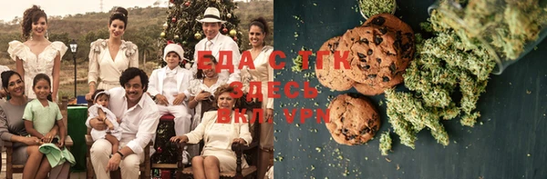 индика Вяземский
