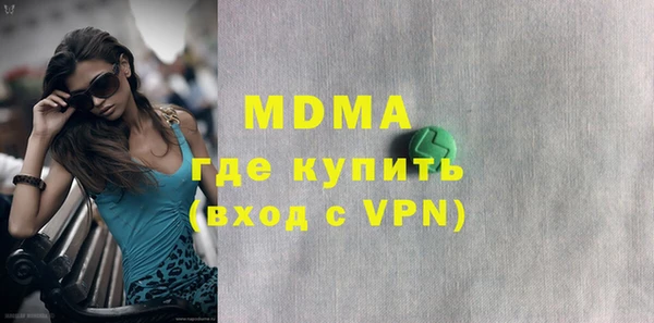 индика Вяземский