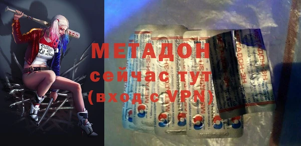 индика Вяземский