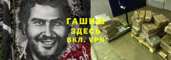 индика Вяземский