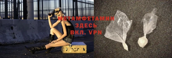 индика Вяземский