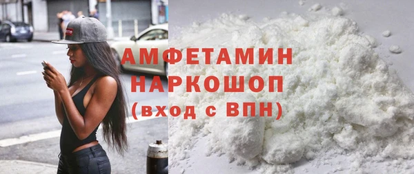 индика Вяземский