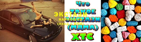 индика Вяземский