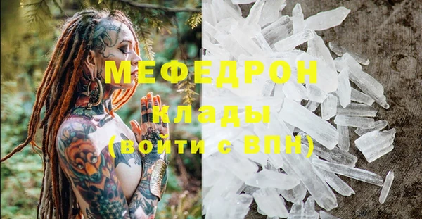 индика Вяземский